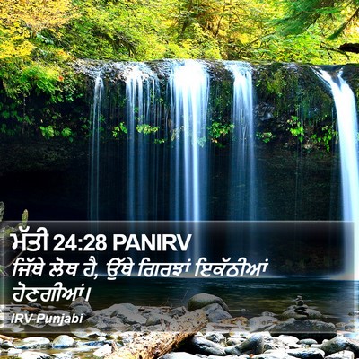 ਮੱਤੀ 24:28 PANIRV Bible Verse Image