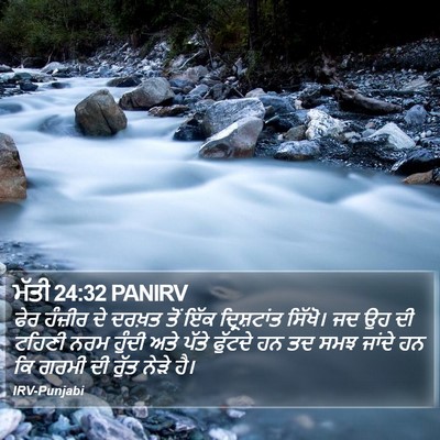 ਮੱਤੀ 24:32 PANIRV Bible Verse Image