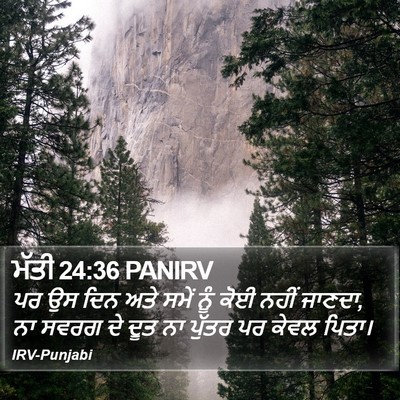 ਮੱਤੀ 24:36 PANIRV Bible Verse Image