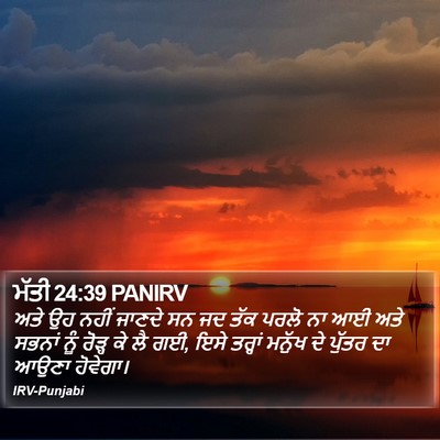 ਮੱਤੀ 24:39 PANIRV Bible Verse Image