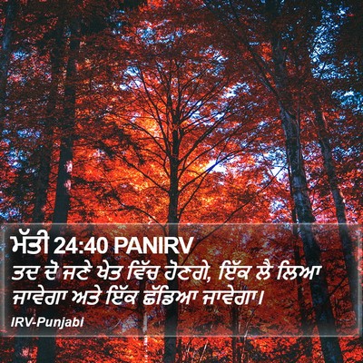 ਮੱਤੀ 24:40 PANIRV Bible Verse Image
