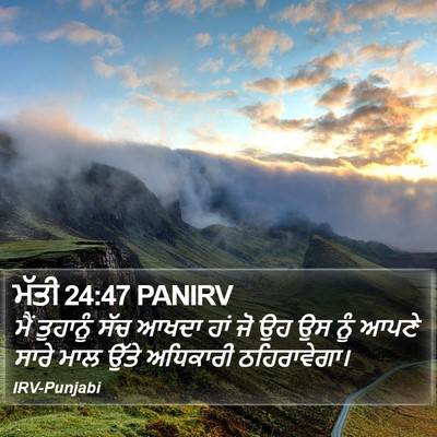ਮੱਤੀ 24:47 PANIRV Bible Verse Image