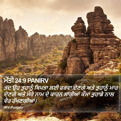 ਮੱਤੀ 24:9 PANIRV Bible Verse Image