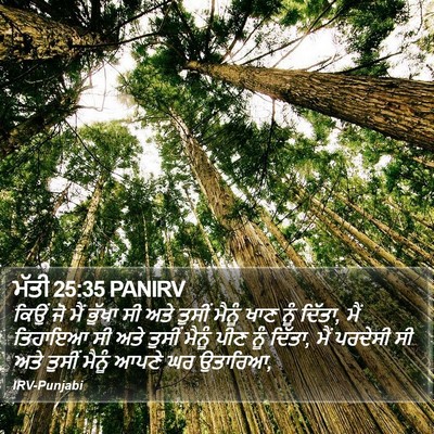 ਮੱਤੀ 25:35 PANIRV Bible Verse Image