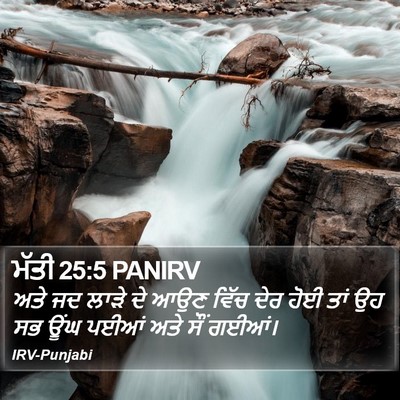 ਮੱਤੀ 25:5 PANIRV Bible Verse Image