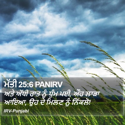 ਮੱਤੀ 25:6 PANIRV Bible Verse Image