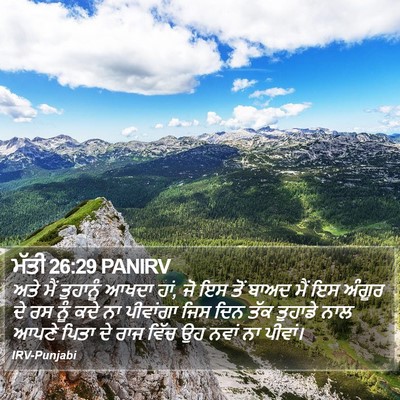 ਮੱਤੀ 26:29 PANIRV Bible Verse Image