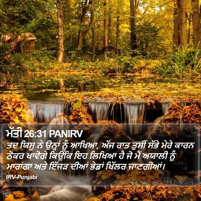 ਮੱਤੀ 26:31 PANIRV Bible Verse Image