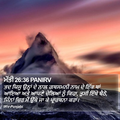ਮੱਤੀ 26:36 PANIRV Bible Verse Image