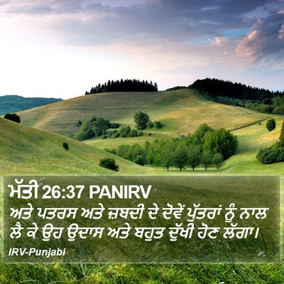 ਮੱਤੀ 26:37 PANIRV Bible Verse Image