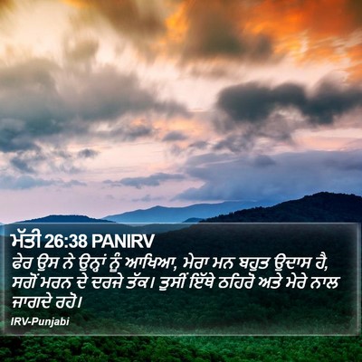 ਮੱਤੀ 26:38 PANIRV Bible Verse Image