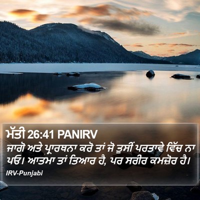 ਮੱਤੀ 26:41 PANIRV Bible Verse Image