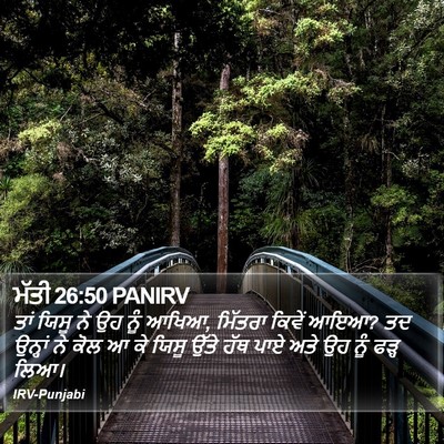 ਮੱਤੀ 26:50 PANIRV Bible Verse Image