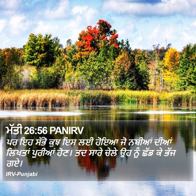 ਮੱਤੀ 26:56 PANIRV Bible Verse Image