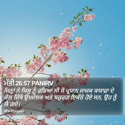 ਮੱਤੀ 26:57 PANIRV Bible Verse Image