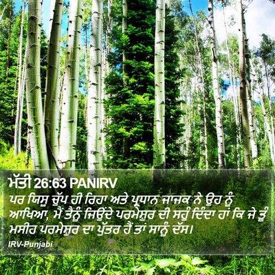 ਮੱਤੀ 26:63 PANIRV Bible Verse Image