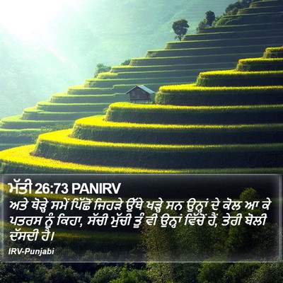 ਮੱਤੀ 26:73 PANIRV Bible Verse Image