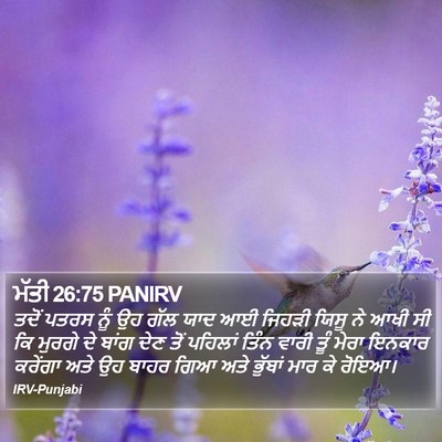 ਮੱਤੀ 26:75 PANIRV Bible Verse Image