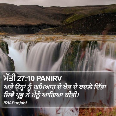 ਮੱਤੀ 27:10 PANIRV Bible Verse Image