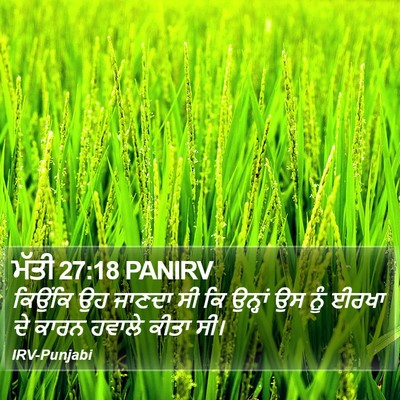 ਮੱਤੀ 27:18 PANIRV Bible Verse Image