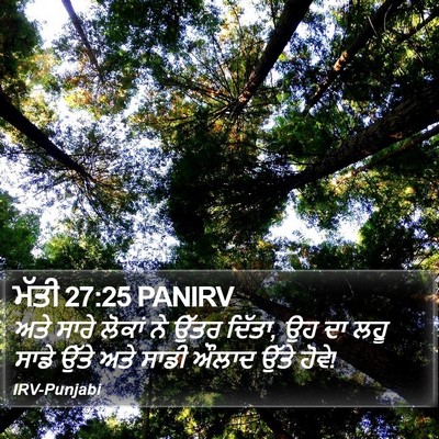 ਮੱਤੀ 27:25 PANIRV Bible Verse Image