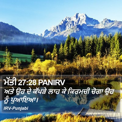 ਮੱਤੀ 27:28 PANIRV Bible Verse Image