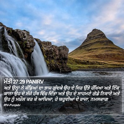 ਮੱਤੀ 27:29 PANIRV Bible Verse Image