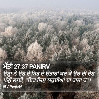 ਮੱਤੀ 27:37 PANIRV Bible Verse Image