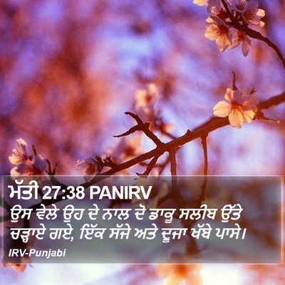 ਮੱਤੀ 27:38 PANIRV Bible Verse Image