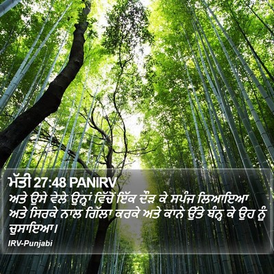 ਮੱਤੀ 27:48 PANIRV Bible Verse Image