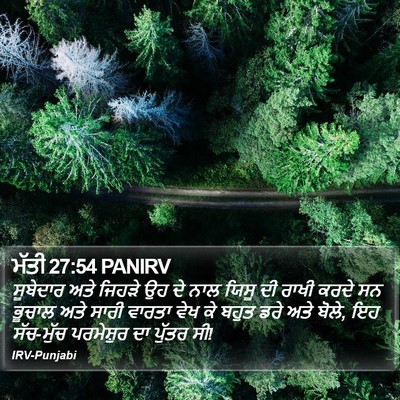 ਮੱਤੀ 27:54 PANIRV Bible Verse Image