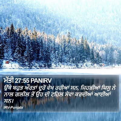 ਮੱਤੀ 27:55 PANIRV Bible Verse Image