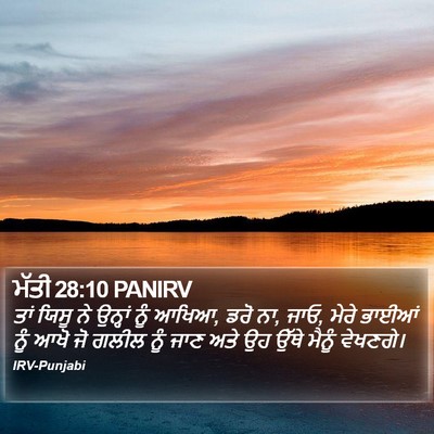 ਮੱਤੀ 28:10 PANIRV Bible Verse Image
