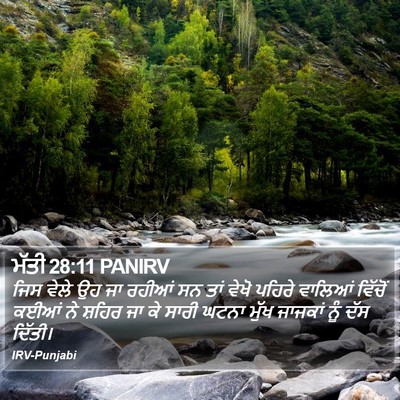 ਮੱਤੀ 28:11 PANIRV Bible Verse Image