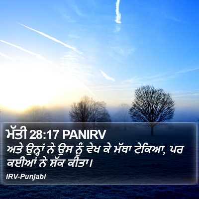 ਮੱਤੀ 28:17 PANIRV Bible Verse Image