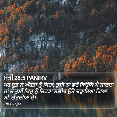 ਮੱਤੀ 28:5 PANIRV Bible Verse Image