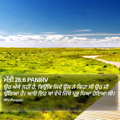 ਮੱਤੀ 28:6 PANIRV Bible Verse Image