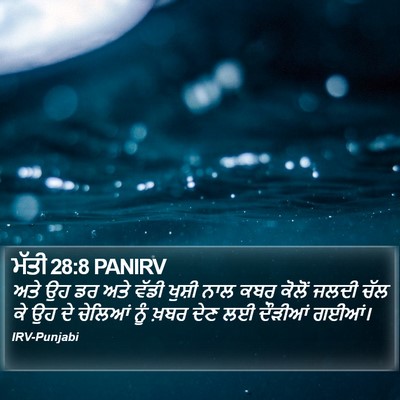 ਮੱਤੀ 28:8 PANIRV Bible Verse Image