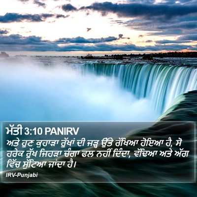 ਮੱਤੀ 3:10 PANIRV Bible Verse Image