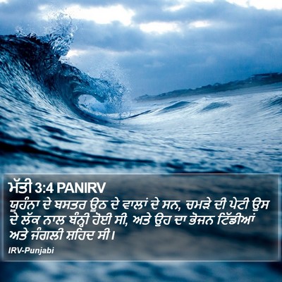 ਮੱਤੀ 3:4 PANIRV Bible Verse Image
