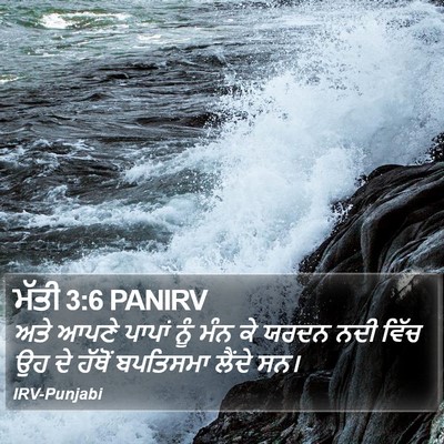 ਮੱਤੀ 3:6 PANIRV Bible Verse Image