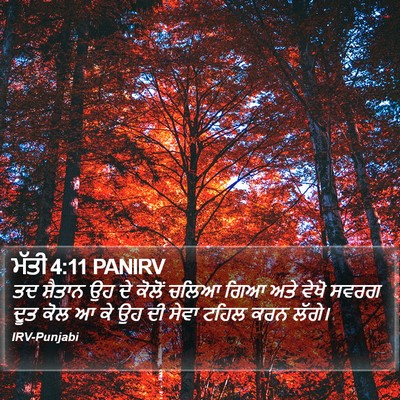 ਮੱਤੀ 4:11 PANIRV Bible Verse Image