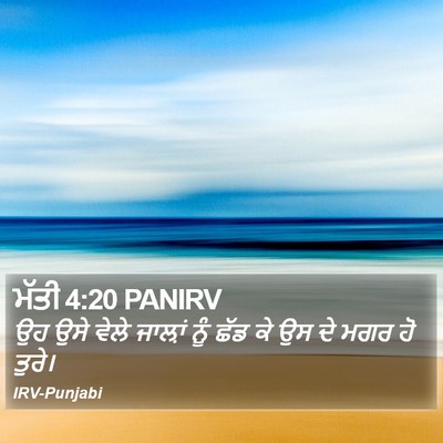 ਮੱਤੀ 4:20 PANIRV Bible Verse Image