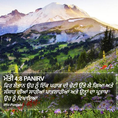 ਮੱਤੀ 4:8 PANIRV Bible Verse Image