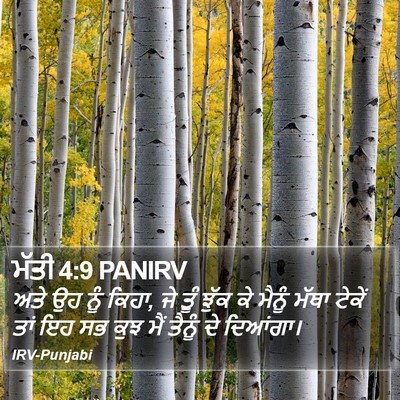 ਮੱਤੀ 4:9 PANIRV Bible Verse Image