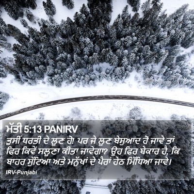 ਮੱਤੀ 5:13 PANIRV Bible Verse Image