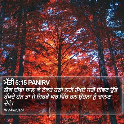 ਮੱਤੀ 5:15 PANIRV Bible Verse Image