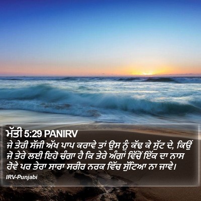 ਮੱਤੀ 5:29 PANIRV Bible Verse Image