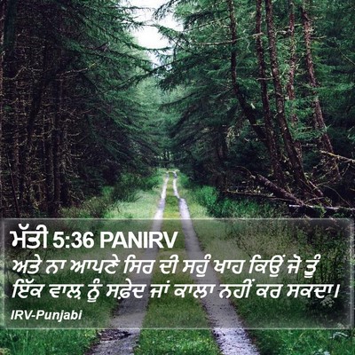 ਮੱਤੀ 5:36 PANIRV Bible Verse Image