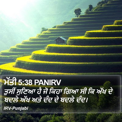 ਮੱਤੀ 5:38 PANIRV Bible Verse Image